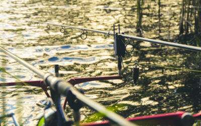 Dobrze zakochany – bez pamięci