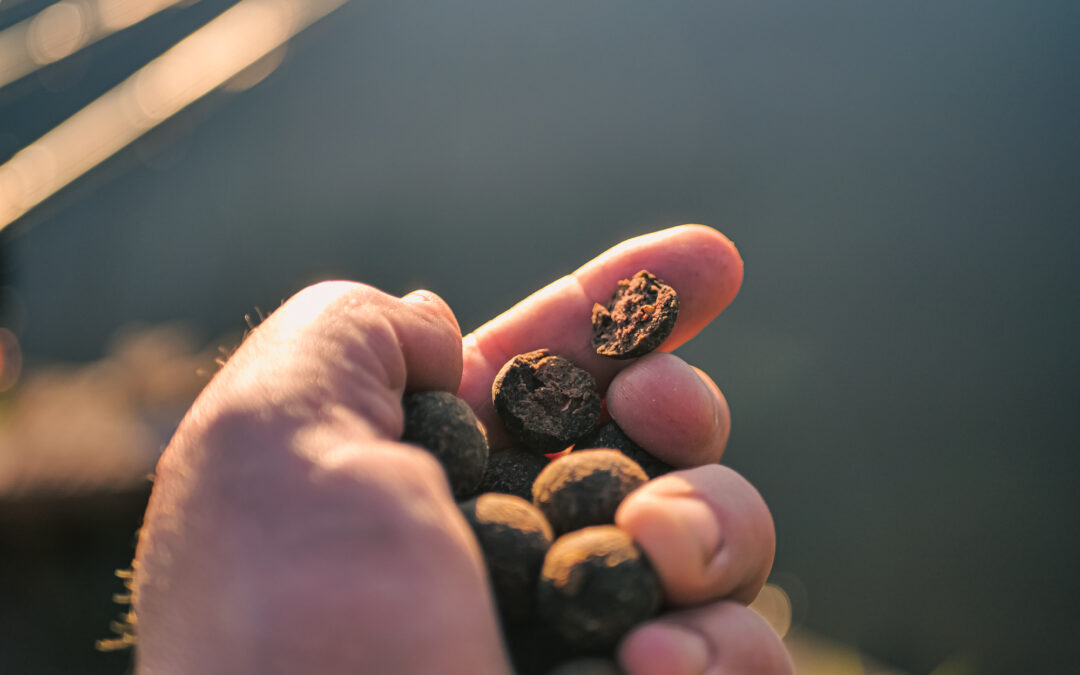 Ukryta pasja głęboko, czasami za głęboko